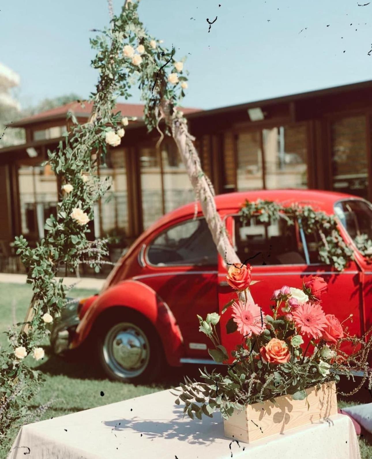 Apart Hotel Llolla 울친 외부 사진
